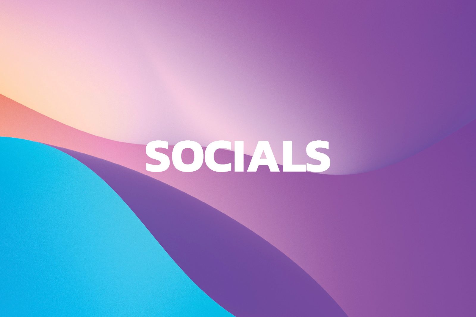 Socials campaign artwork