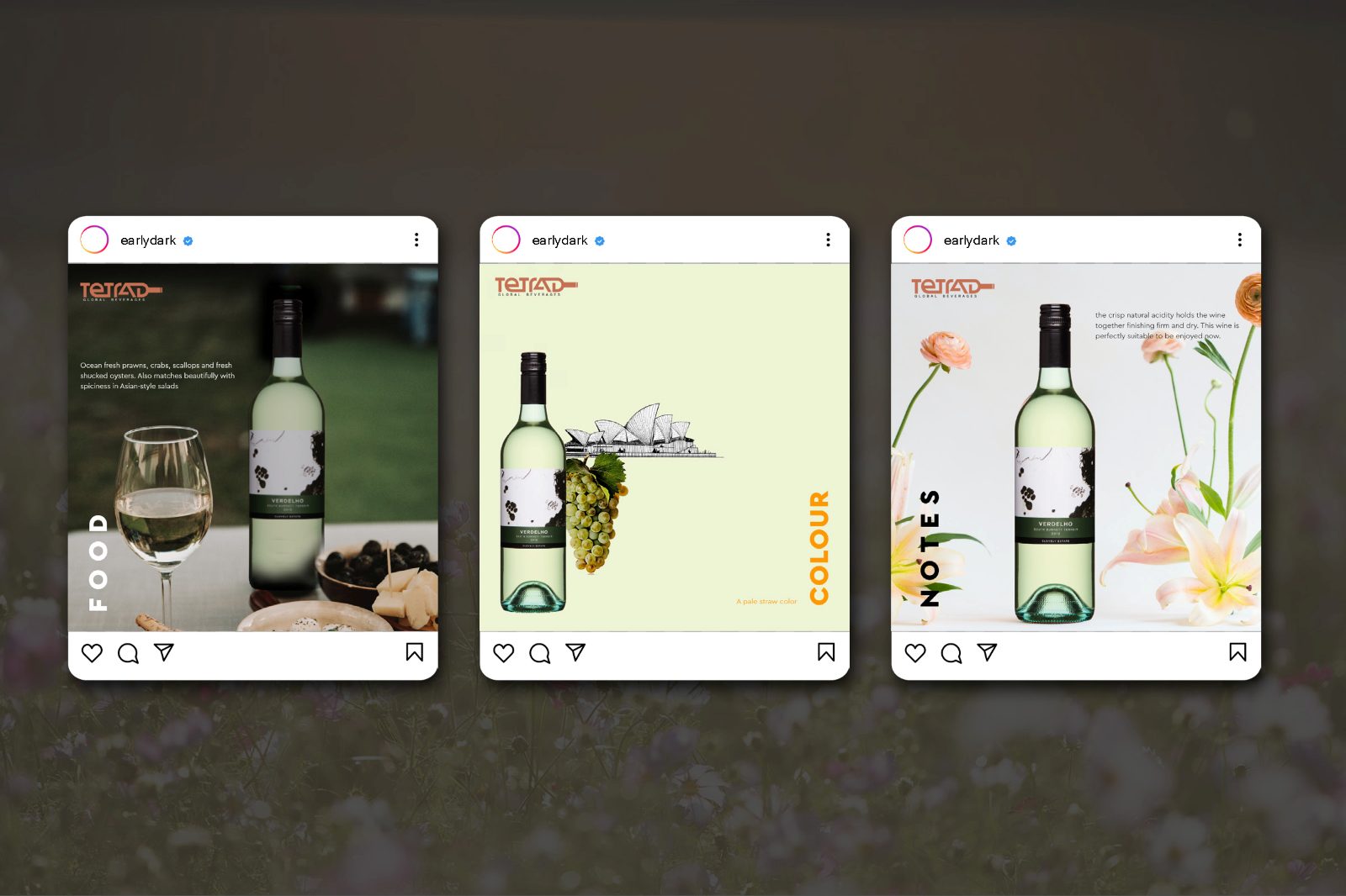 Food, colour and notes treatments for a white wine
